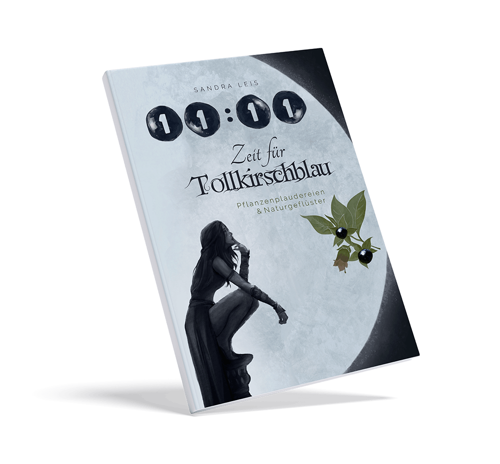 Buch von Sandra Leis. 11:11, Zeit für Tollkirschblau, Softcover